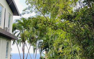 Coastal Comfort in Aguadilla - Aguacate, Puerto Rico