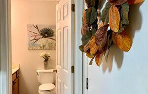 Wooded North Carolina Retreat with Creekside Trail - Brevard, North Carolina