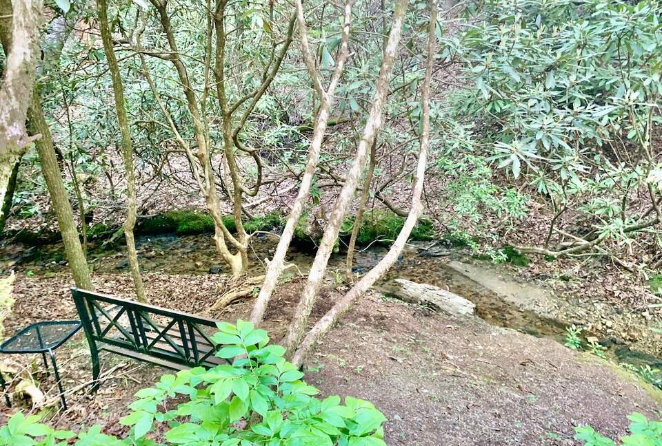 Wooded North Carolina Retreat with Creekside Trail - Brevard, North Carolina