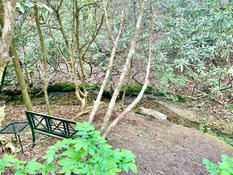 Wooded North Carolina Retreat with Creekside Trail - Brevard, North Carolina