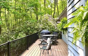 Wooded North Carolina Retreat with Creekside Trail - Brevard, North Carolina