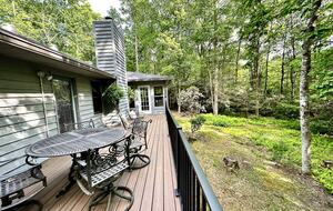 Wooded North Carolina Retreat with Creekside Trail - Brevard, North Carolina
