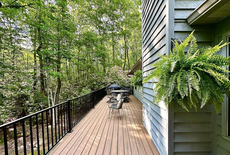 Wooded North Carolina Retreat with Creekside Trail - Brevard, North Carolina