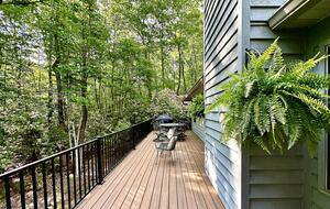 Wooded North Carolina Retreat with Creekside Trail - Brevard, North Carolina