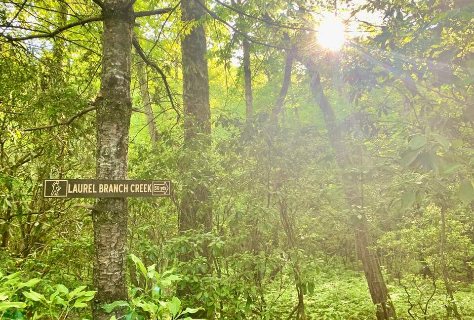 Wooded North Carolina Retreat with Creekside Trail - Brevard, North Carolina