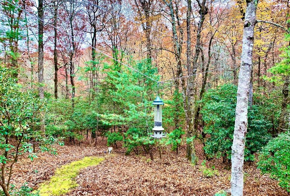 Wooded North Carolina Retreat with Creekside Trail - Brevard, North Carolina