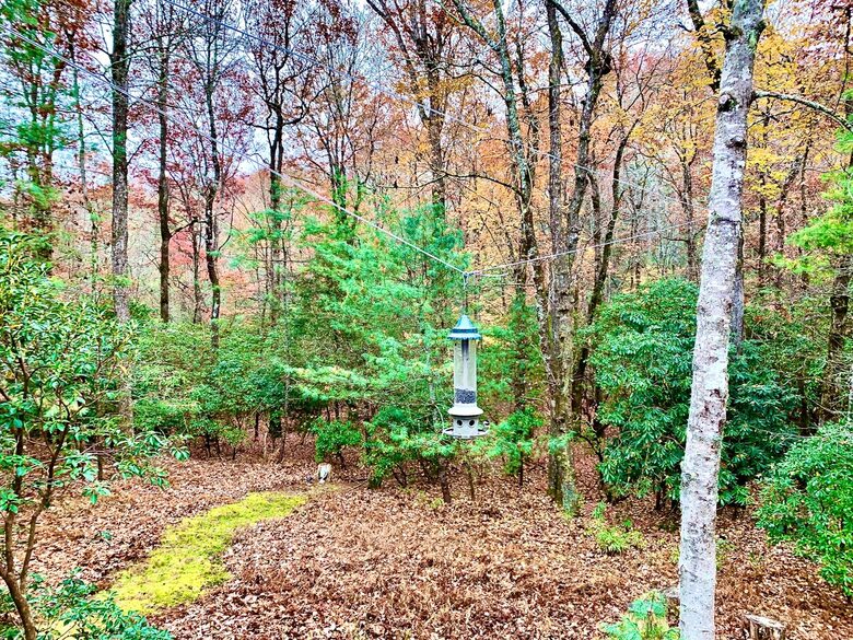 Wooded North Carolina Retreat with Creekside Trail - Brevard, North Carolina