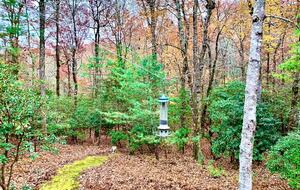 Wooded North Carolina Retreat with Creekside Trail - Brevard, North Carolina