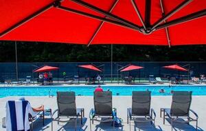 Wooded North Carolina Retreat with Creekside Trail - Brevard, North Carolina