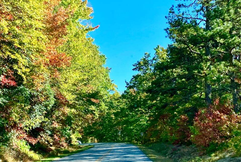 Wooded North Carolina Retreat with Creekside Trail - Brevard, North Carolina