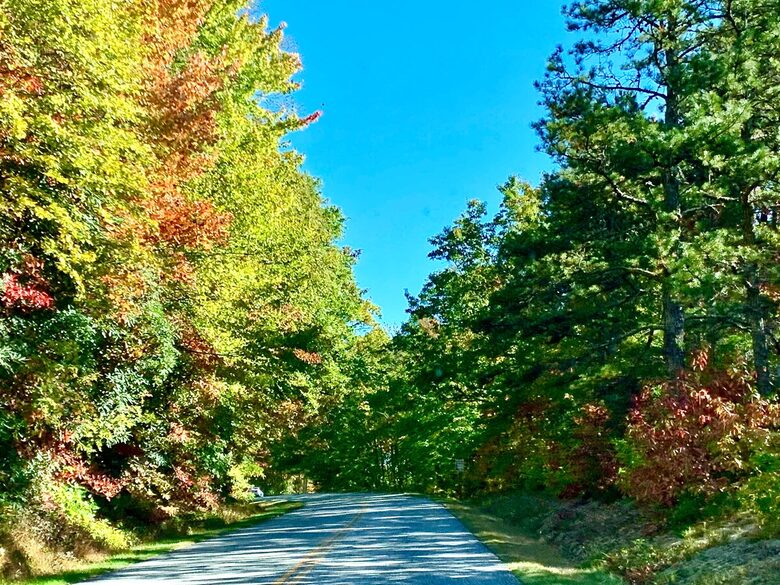 Wooded North Carolina Retreat with Creekside Trail - Brevard, North Carolina