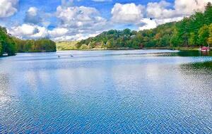 Wooded North Carolina Retreat with Creekside Trail - Brevard, North Carolina