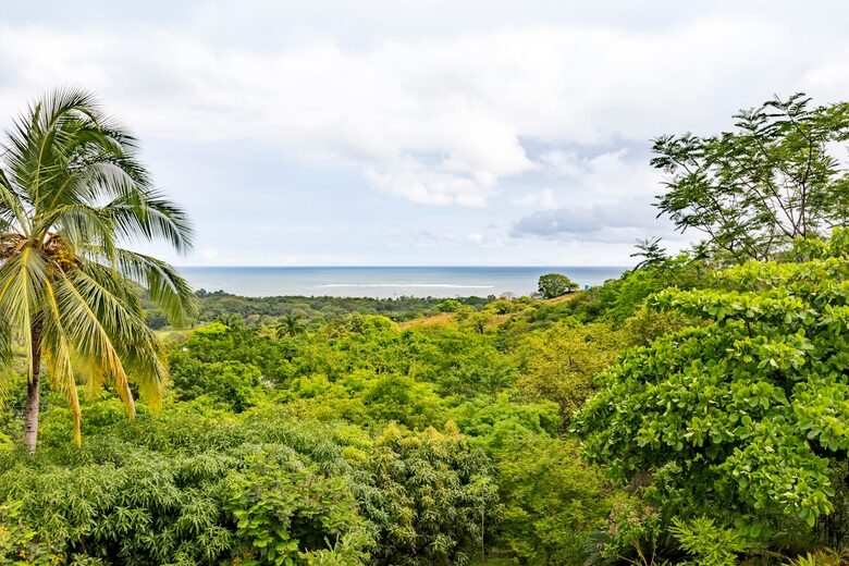 Pura Vida Hilltop Sanctuary - Garza, Costa Rica