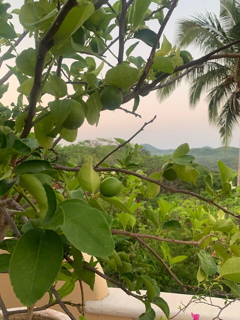 Pura Vida Hilltop Sanctuary - Garza, Costa Rica