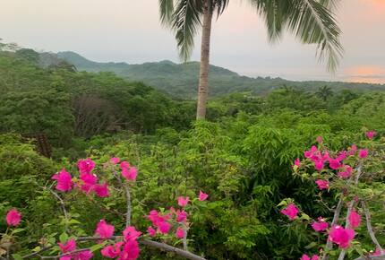 Pura Vida Hilltop Sanctuary - Garza, Costa Rica