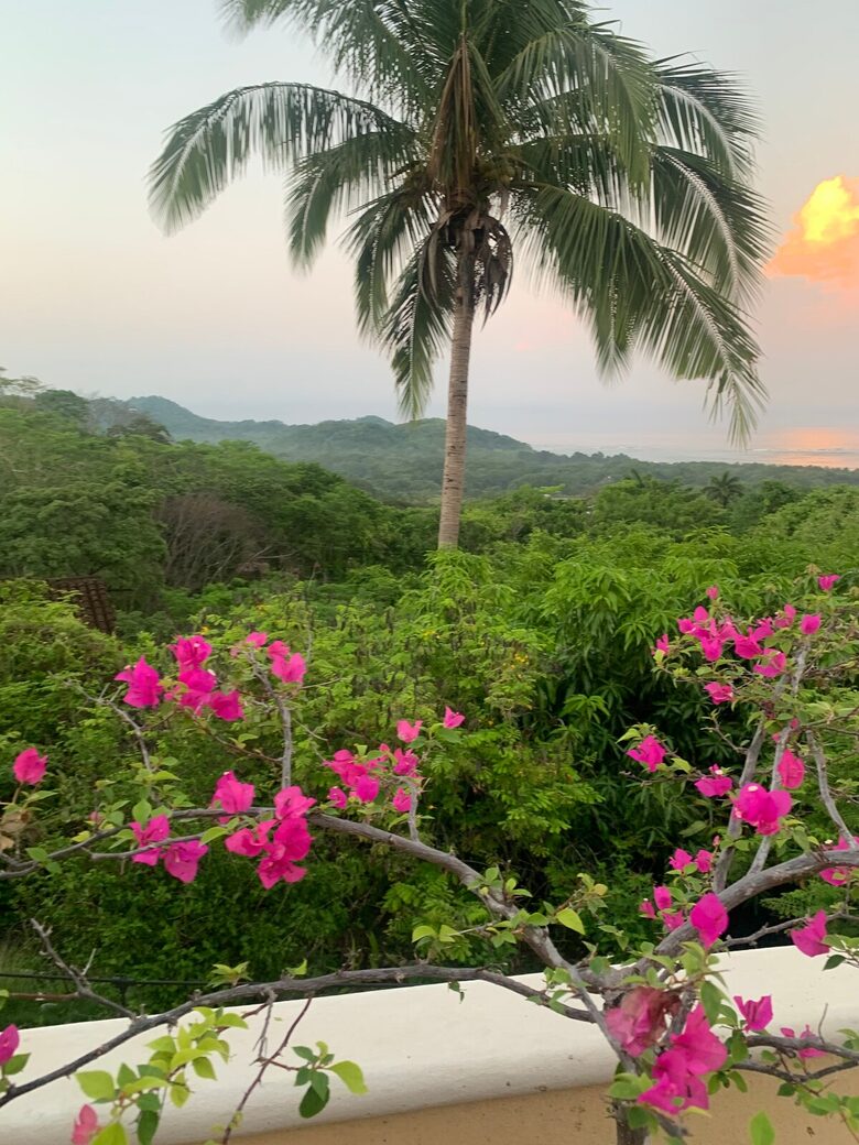 Pura Vida Hilltop Sanctuary - Garza, Costa Rica