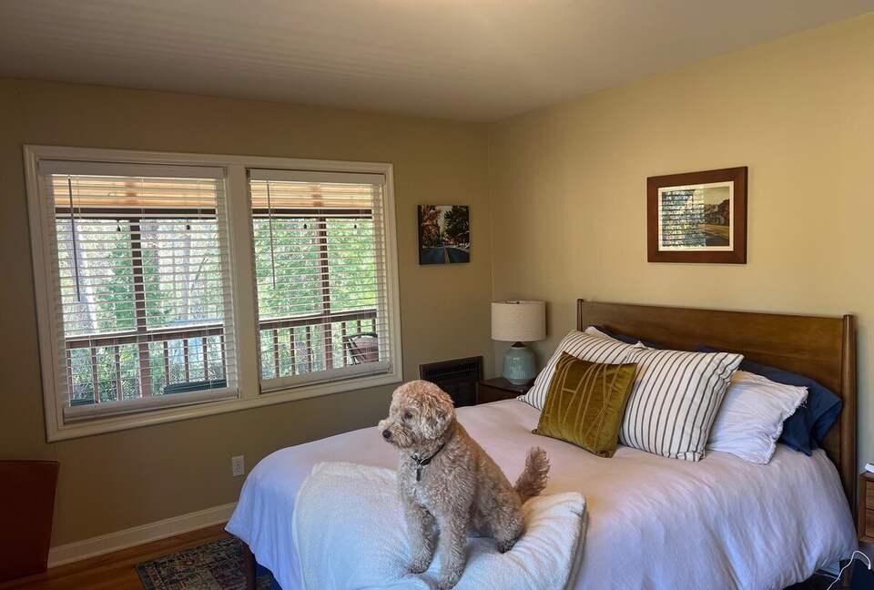 Nevada City Mid-Century Retreat - Nevada City, California