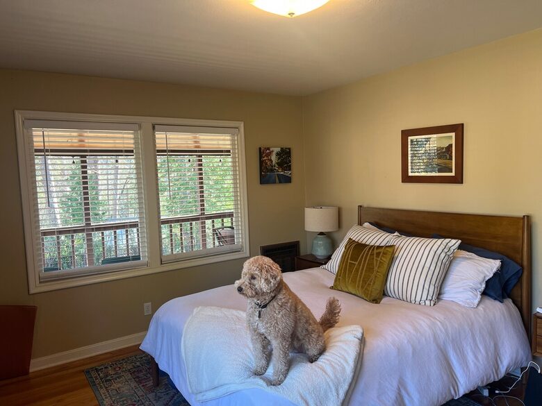 Nevada City Mid-Century Retreat - Nevada City, California