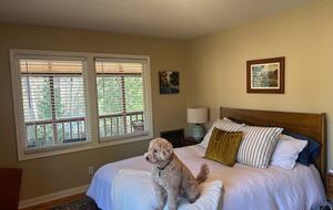 Nevada City Mid-Century Retreat - Nevada City, California