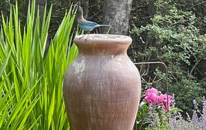 Nevada City Mid-Century Retreat - Nevada City, California