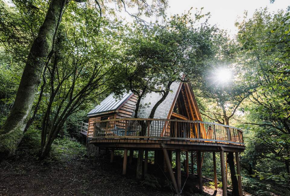 As seen on TV - Magical Treehouse for Couples Only