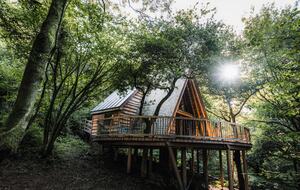 As seen on TV - Magical Treehouse for Couples Only