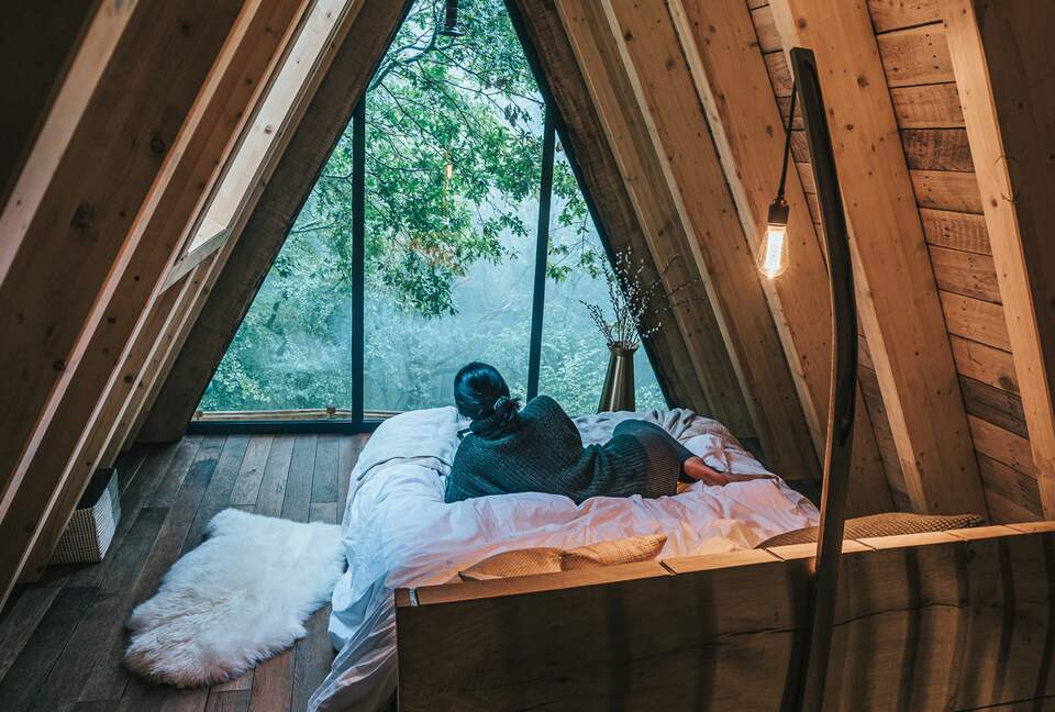 Sleep up in the Treetops - King Size Loft Bed