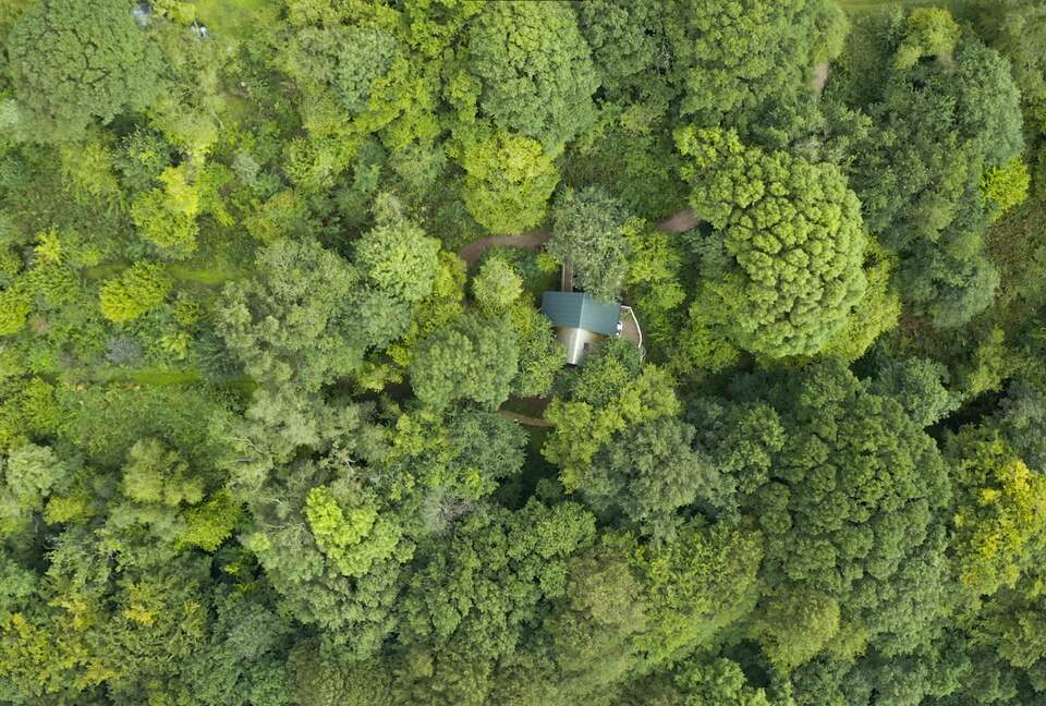 Nobody will know you are here! 2 acres of private forest