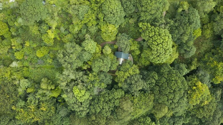 Nobody will know you are here! 2 acres of private forest