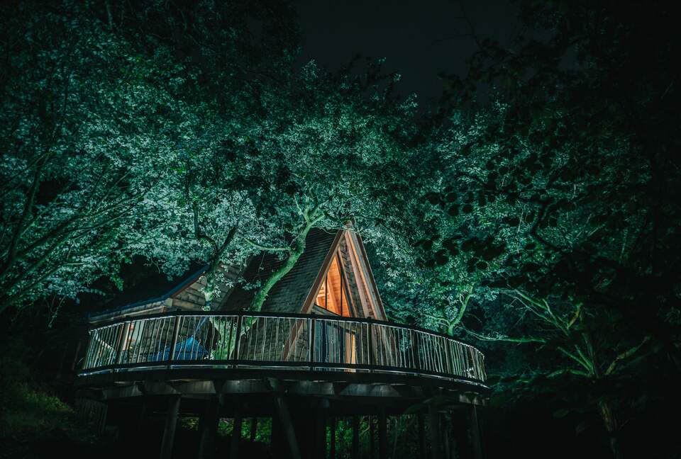 Treehouse at Night