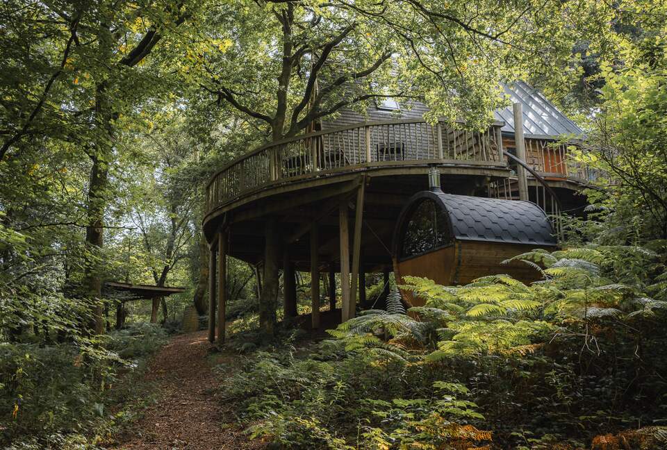 Private Ancient Woodland - Wye Valley Gloucestershire