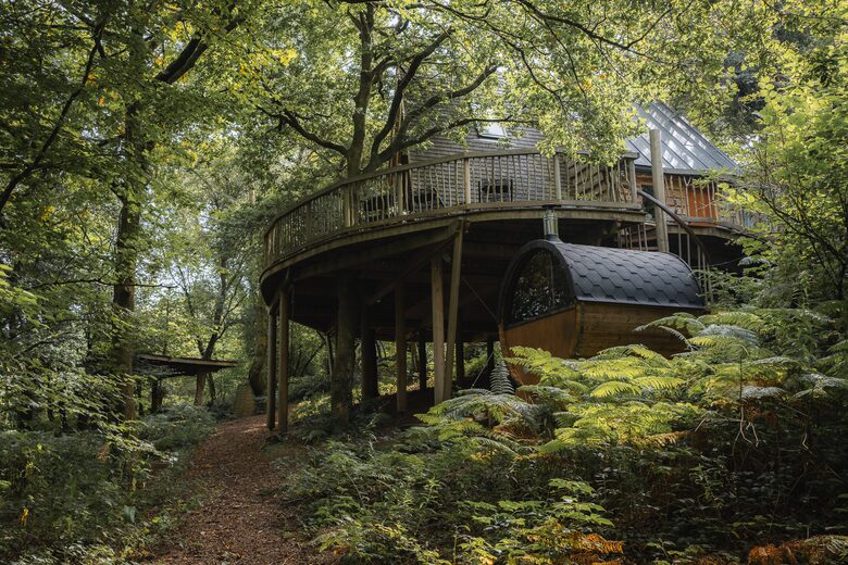 Private Ancient Woodland - Wye Valley Gloucestershire