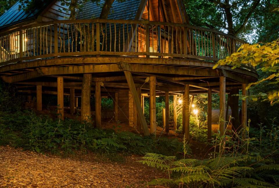 Magical Evenings around the Firepit