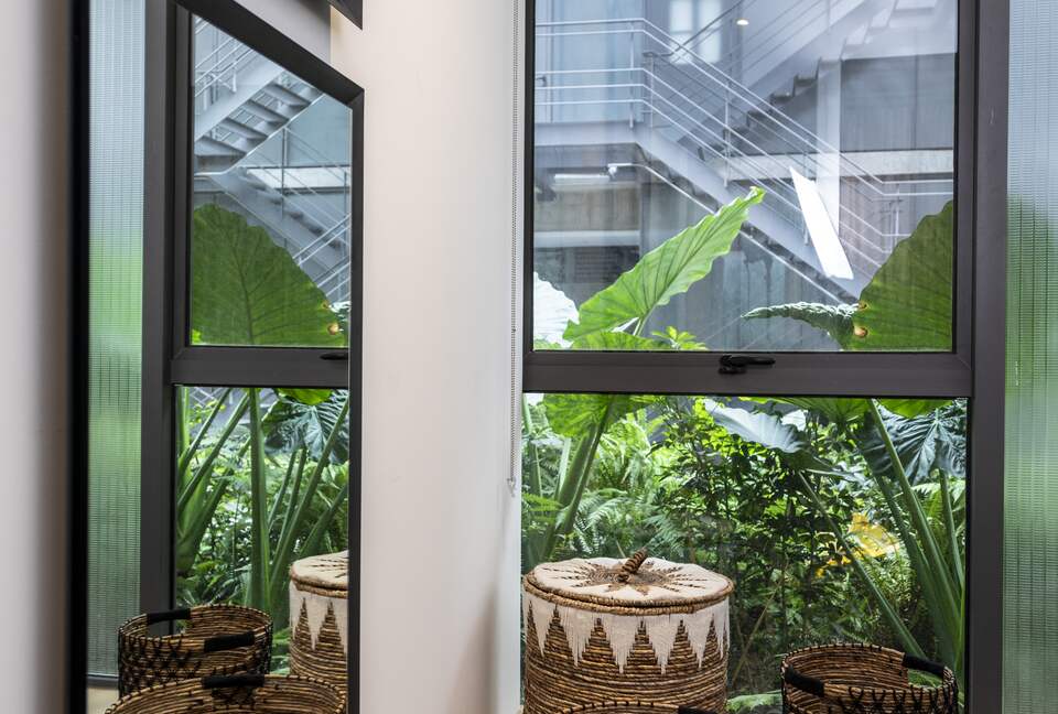 Unique Garden House - La Condesa Mexico City - CDMX, Mexico