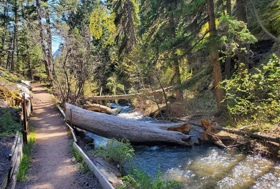 Miners Trail Hike 10 minute drive from the house.