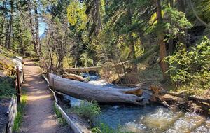 Miners Trail Hike 10 minute drive from the house.