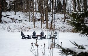 Modern Country Escape on a 117-Acre Farm - Livingston Manor, New York