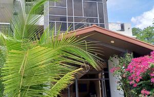 Bougainvillas and palms welcomes you at Bella Villa!