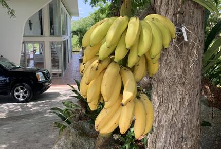 Luxury Hilltop Retreat with Pool, Terraces & Endless Horizons on an Island off an Island - Vieques, Puerto Rico