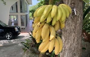 Luxury Hilltop Retreat with Pool, Terraces & Endless Horizons on an Island off an Island - Vieques, Puerto Rico