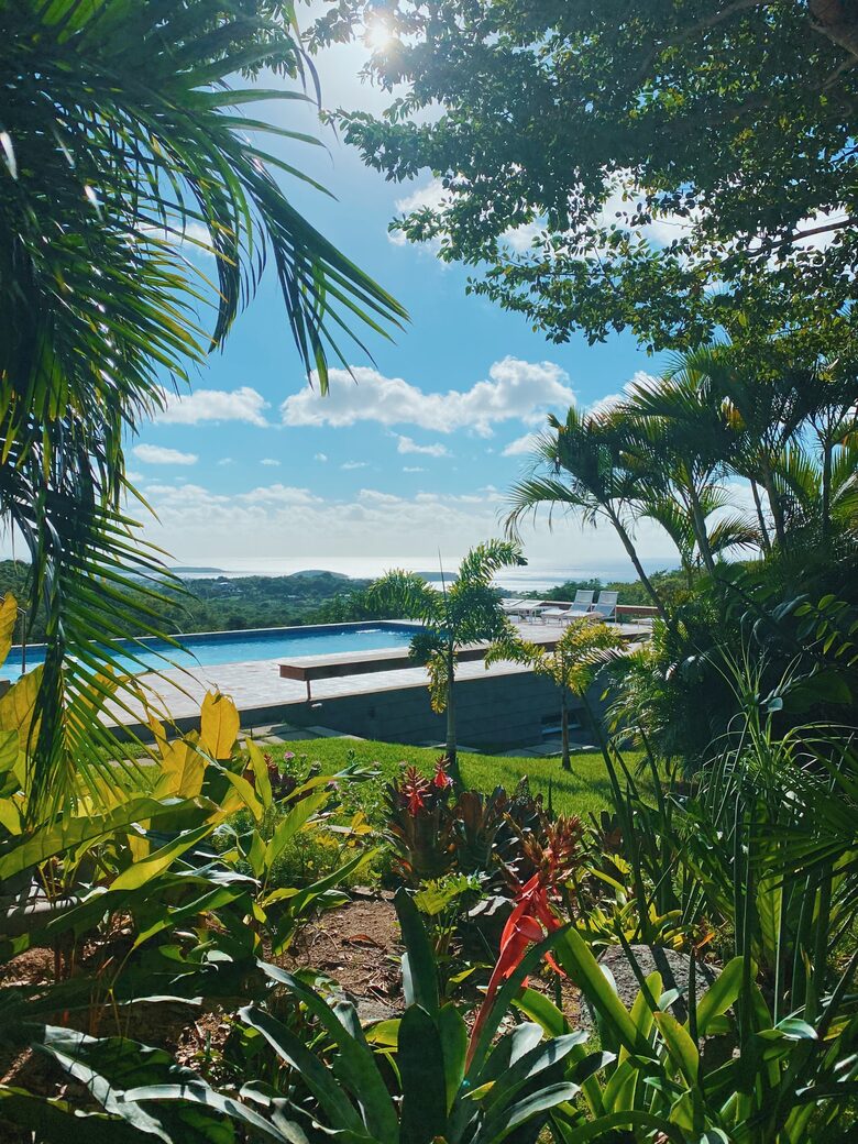 Pool view with garden