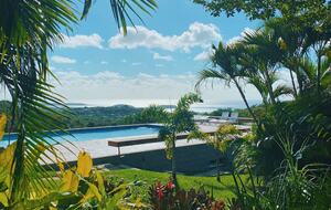Pool view with garden