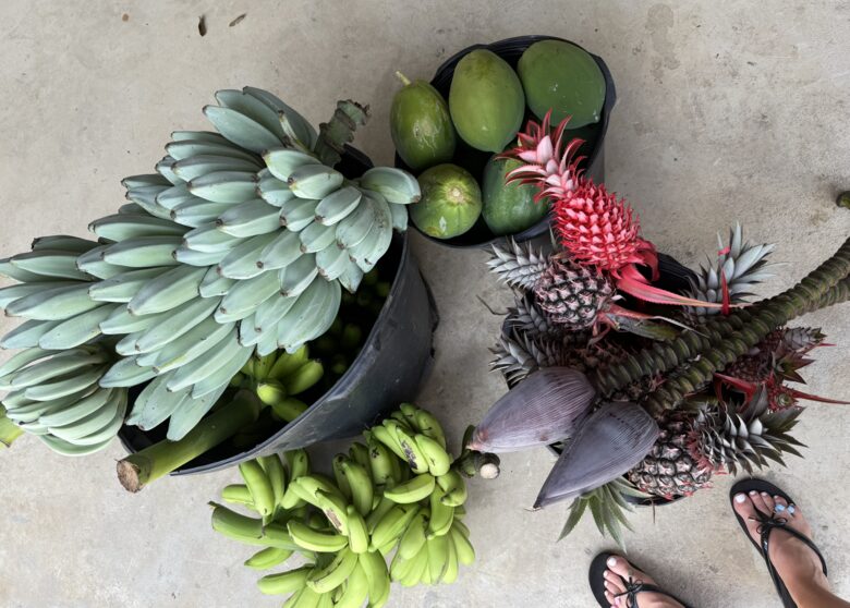 fresh fruit from the garden