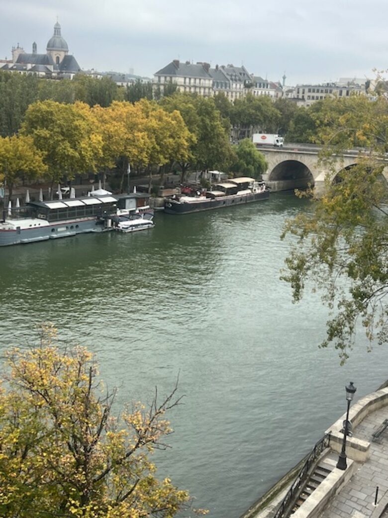 Elegant Seine-Side Loft in Historic Paris - Paris, France