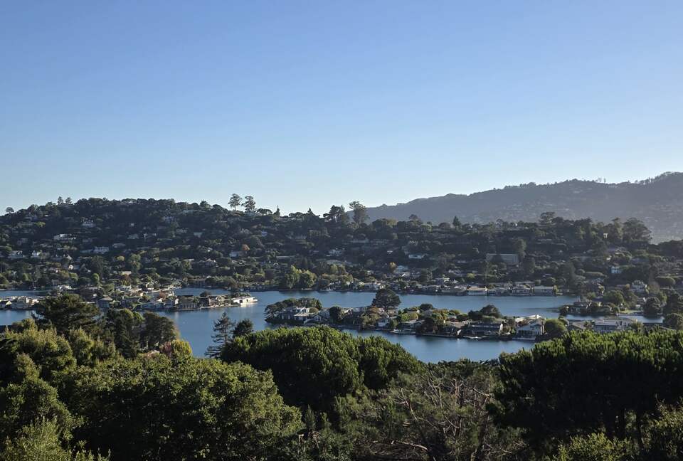 Artful Architecture Overlooking the San Francisco Bay - Tiburon, California