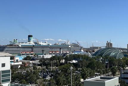 Downtown Tampa Coastal Retreat - Tampa, Florida