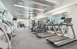 Downtown Tampa Coastal Retreat - Tampa, Florida