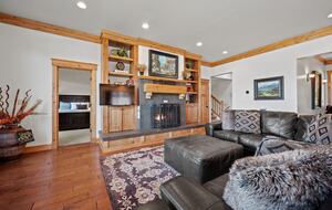 Living room and fireplace