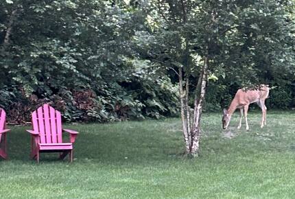 Island Elegance on Pinkham Circle - Nantucket, Massachusetts