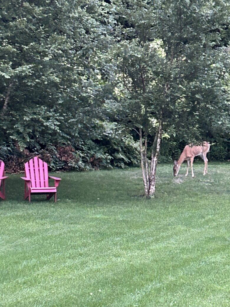 Island Elegance on Pinkham Circle - Nantucket, Massachusetts